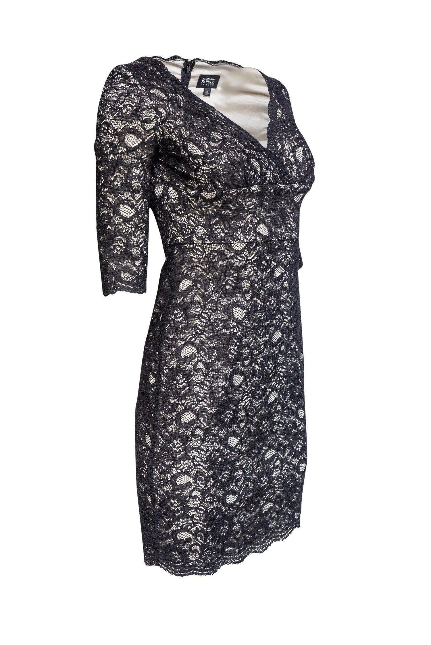 Adrianna Papell - Black Lace Overall Bodycon Dress Sz 2