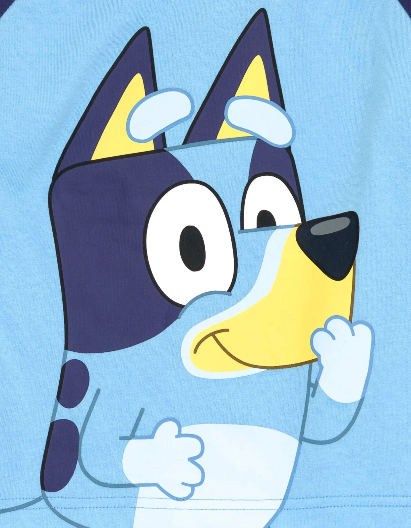 Bluey T-Shirt and Jogger French Terry Pants