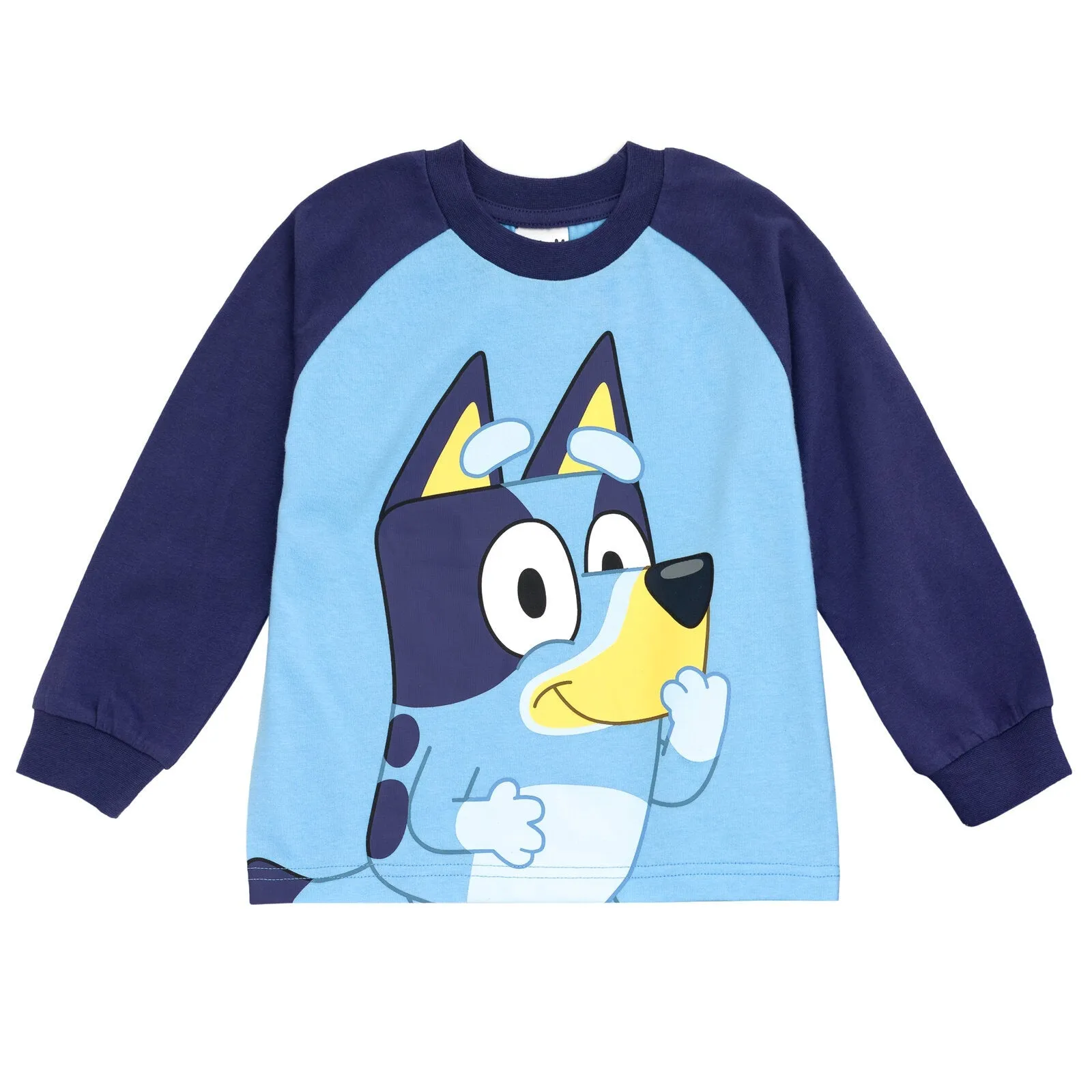 Bluey T-Shirt and Jogger French Terry Pants