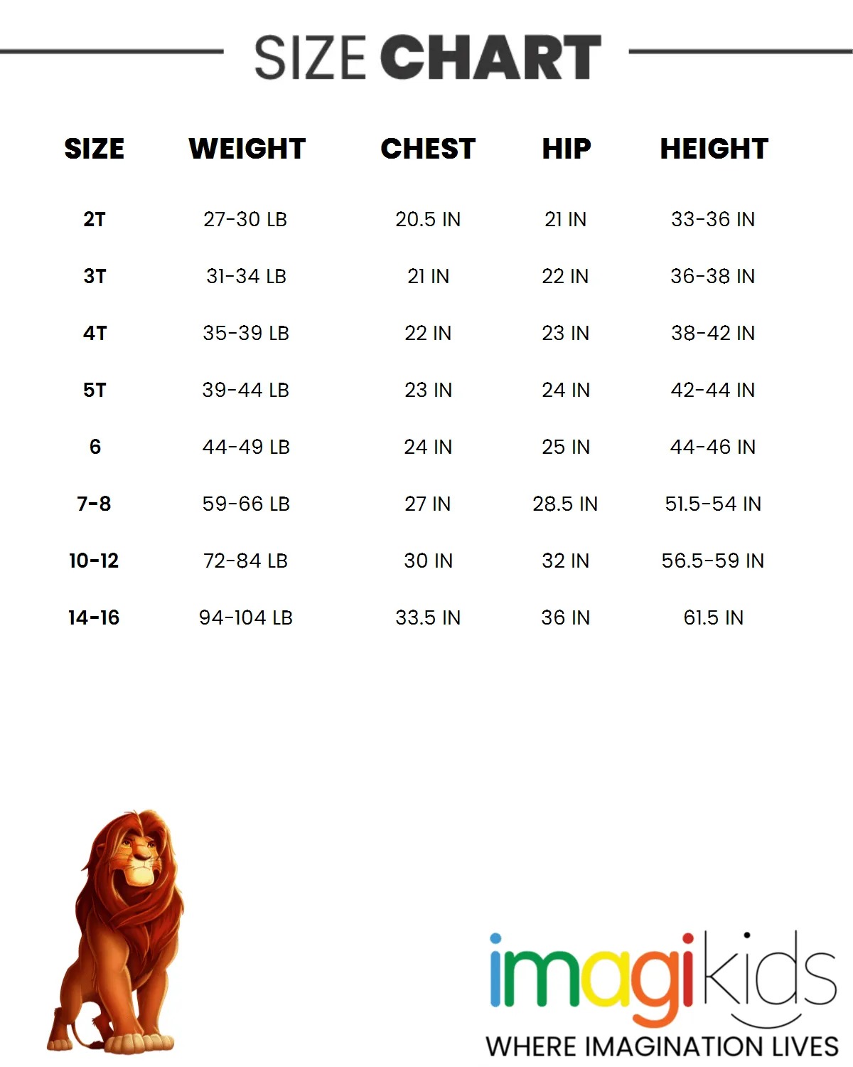 Disney Lion King Matching Family Maxi Dress